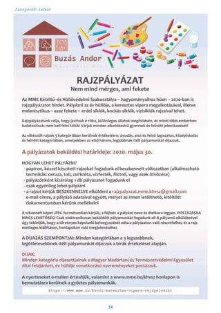 Zsongorkői Lelátó
34
 