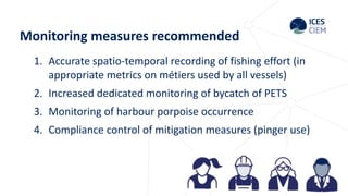 ICES advice measures on bycatch baltic harbour porpoise | PPTX