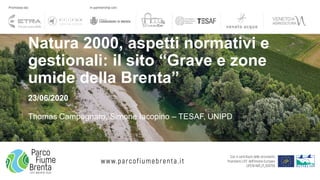 Natura 2000, aspetti normativi e
gestionali: il sito “Grave e zone
umide della Brenta”
23/06/2020
Thomas Campagnaro, Simone Iacopino – TESAF, UNIPD
 