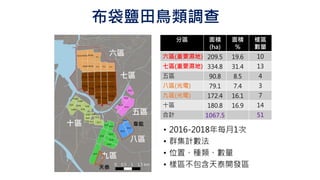布袋鹽田鳥類調查
分區 面積
(ha)
面積
%
樣區
數量
六區(重要濕地) 209.5 19.6 10
七區(重要濕地) 334.8 31.4 13
五區 90.8 8.5 4
八區(光電) 79.1 7.4 3
九區(光電) 172.4 16.1 7
十區 180.8 16.9 14
合計 1067.5 51
• 2016-2018年每月1次
• 群集計數法
• 位置、種類、數量
• 樣區不包含天泰開發區
韋能
天泰
 