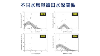 不同水鳥與鹽田水深關係
鷸鴴 雁鴨
鷗類 鷺鳥
 