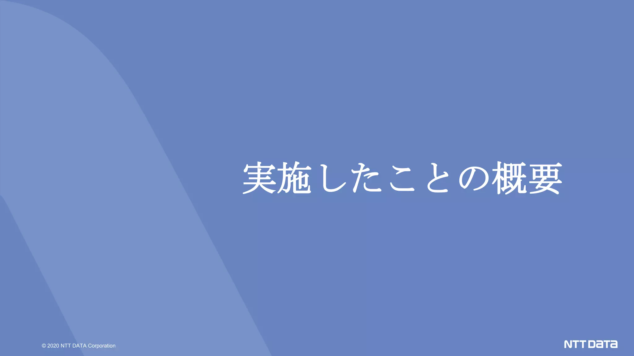 © 2020 NTT DATA Corporation
実施したことの概要
 