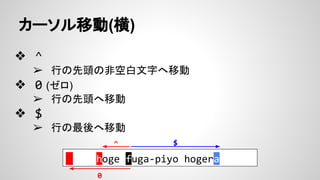 カーソル移動(横)
❖ ^
➢ 行の先頭の非空白文字へ移動
❖ 0 (ゼロ)
➢ 行の先頭へ移動
❖ $
➢ 行の最後へ移動
　 hoge fuga-piyo hogera
$^
0
 