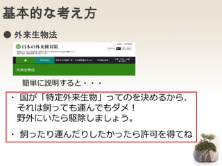 基本的な考え方
● 外来生物法
簡単に説明すると・・・
・ 国が「特定外来生物」ってのを決めるから、
それは飼っても運んでもダメ！
野外にいたら駆除しましょう。
・ 飼ったり運んだりしたかったら許可を得てね
 