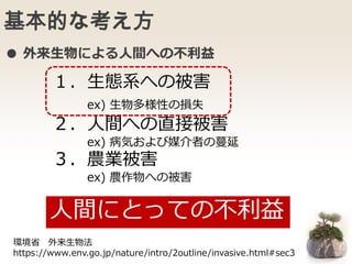 基本的な考え方
● 外来生物による人間への不利益
１．生態系への被害
ex) 生物多様性の損失
２．人間への直接被害
ex) 病気および媒介者の蔓延
３．農業被害
ex) 農作物への被害
環境省 外来生物法
https://www.env.go.jp/nature/intro/2outline/invasive.html#sec3
人間にとっての不利益
 