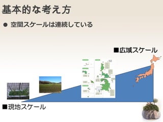 基本的な考え方
■現地スケール
■広域スケール
● 空間スケールは連続している
 