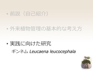 • 前説（自己紹介）
• 外来植物管理の基本的な考え方
• 実践に向けた研究
ギンネム Leucaena leucocephala
 