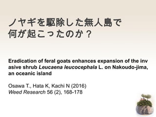 ノヤギを駆除した無人島で
何が起こったのか？
Eradication of feral goats enhances expansion of the inv
asive shrub Leucaena leucocephala L. on Nakoudo-jima,
an oceanic island
Osawa T., Hata K, Kachi N (2016)
Weed Research 56 (2), 168-178
 