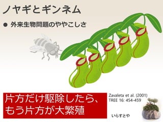 ノヤギとギンネム
片方だけ駆除したら、
もう片方が大繁殖
● 外来生物問題のややこしさ
Zavaleta et al. (2001)
TREE 16: 454-459
いらすとや
 