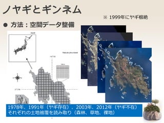 ノヤギとギンネム
1978年、1991年（ヤギ存在）、2003年、2012年（ヤギ不在）
それぞれの土地被覆を読み取り（森林、草地、裸地）
※ 1999年にヤギ根絶
● 方法：空間データ整備
 