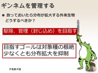 ギンネムを管理する
● 放っておいたら分布が拡大する外来生物
どうするべきか？
駆除、管理（封じ込め）を目指す
目指すゴールは対象種の根絶
少なくとも分布拡大を抑制
ダ鳥獣ギ画
 