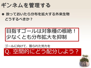 ギンネムを管理する
Q. 空間的にどう配分しよう？
目指すゴールは対象種の根絶！
少なくとも分布拡大を抑制
ゴールに向けて、限られた労力を
● 放っておいたら分布を拡大する外来生物
どうするべきか？
 