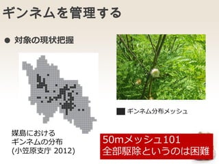 ギンネムを管理する
媒島における
ギンネムの分布
(小笠原支庁 2012)
ギンネム分布メッシュ
50mメッシュ101
全部駆除というのは困難
● 対象の現状把握
 