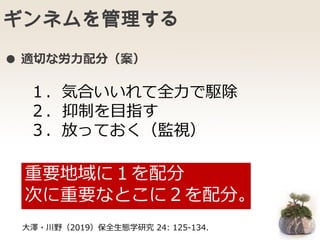 ギンネムを管理する
１．気合いいれて全力で駆除
２. 抑制を目指す
３．放っておく（監視）
重要地域に１を配分
次に重要なとこに２を配分。
● 適切な労力配分（案）
大澤・川野（2019）保全生態学研究 24: 125-134.
 