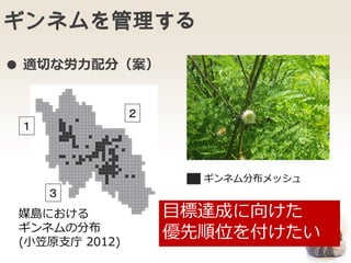 ギンネムを管理する
媒島における
ギンネムの分布
(小笠原支庁 2012)
ギンネム分布メッシュ
目標達成に向けた
優先順位を付けたい
● 適切な労力配分（案）
１
３
２
 