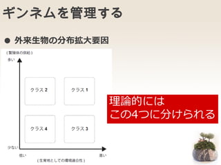ギンネムを管理する
● 外来生物の分布拡大要因
理論的には
この4つに分けられる
 