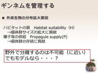 ギンネムを管理する
野外で分離するのは不可能（に近い）
でもモデルなら・・・？
● 外来生物の分布拡大要因
ハビタットの質 Habitat suitability（H）
→個体群サイズの拡大に貢献
種子等の供給 Propagule supply(P)
→個体群の存続に貢献
 