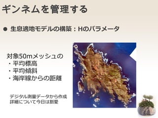 ギンネムを管理する
デジタル測量データから作成
詳細について今日は割愛
対象50mメッシュの
・平均標高
・平均傾斜
・海岸線からの距離
● 生息適地モデルの構築：Hのパラメータ
 