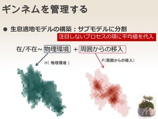 ギンネムを管理する
● 生息適地モデルの構築：サブモデルに分割
H（ 物理環境 ）
P（周囲からの移入）
在/不在~ 物理環境 + 周囲からの移入
注目しないプロセスの項に平均値を代入
 