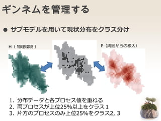 ギンネムを管理する
● サブモデルを用いて現状分布をクラス分け
H（ 物理環境 ） P（周囲からの移入）
1. 分布データと各プロセス値を重ねる
2. 両プロセスが上位25%以上をクラス１
3. 片方のプロセスのみ上位25%をクラス2, 3
 