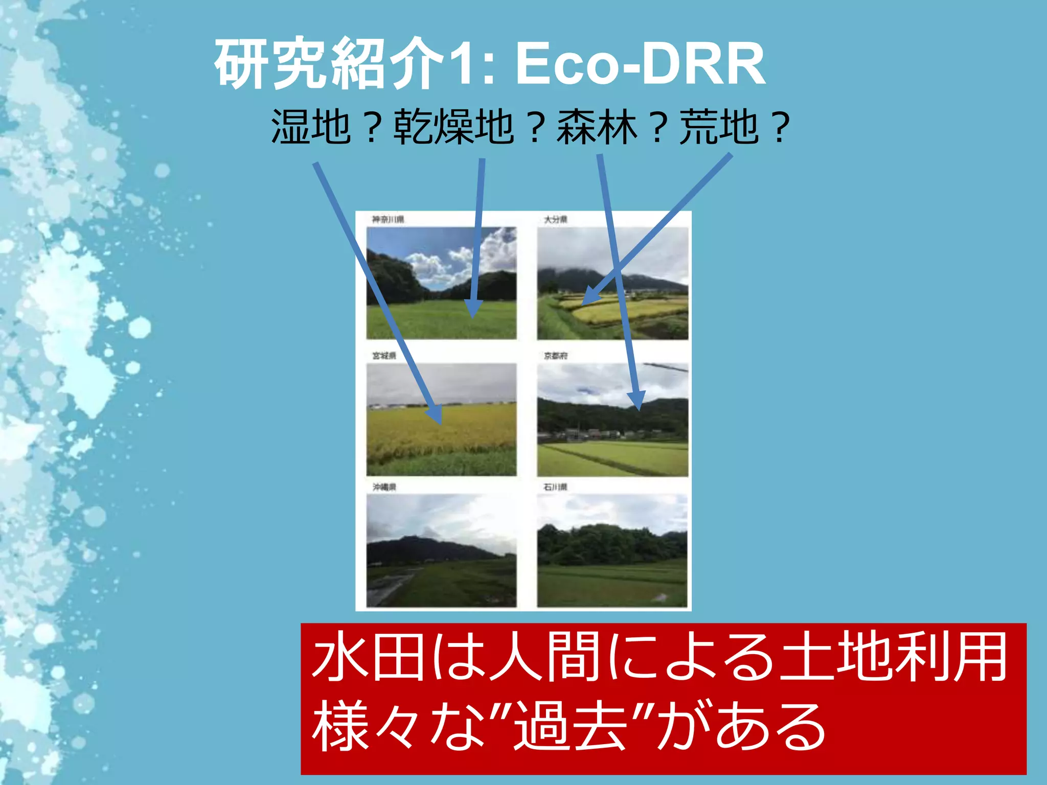 研究紹介1: Eco-DRR
水田は人間による土地利用
様々な”過去”がある
湿地？乾燥地？森林？荒地？
 
