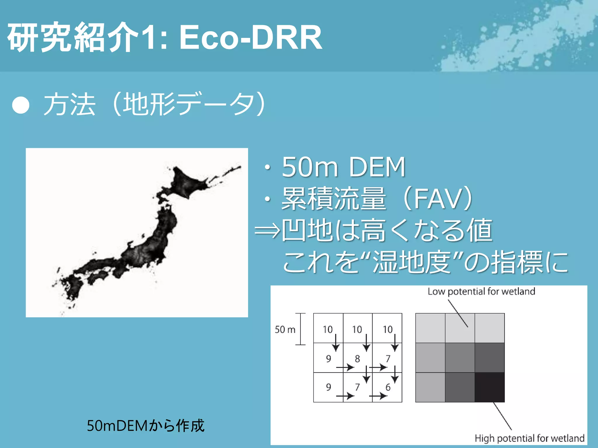研究紹介1: Eco-DRR
● 方法（地形データ）
50mDEMから作成
・50m DEM
・累積流量（FAV）
⇒凹地は高くなる値
これを“湿地度”の指標に
 