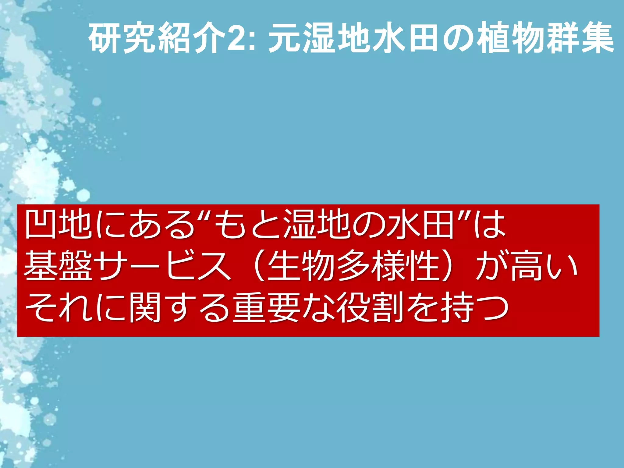 研究紹介2: 元湿地水田の植物群集
凹地にある“もと湿地の水田”は
基盤サービス（生物多様性）が高い
それに関する重要な役割を持つ
 