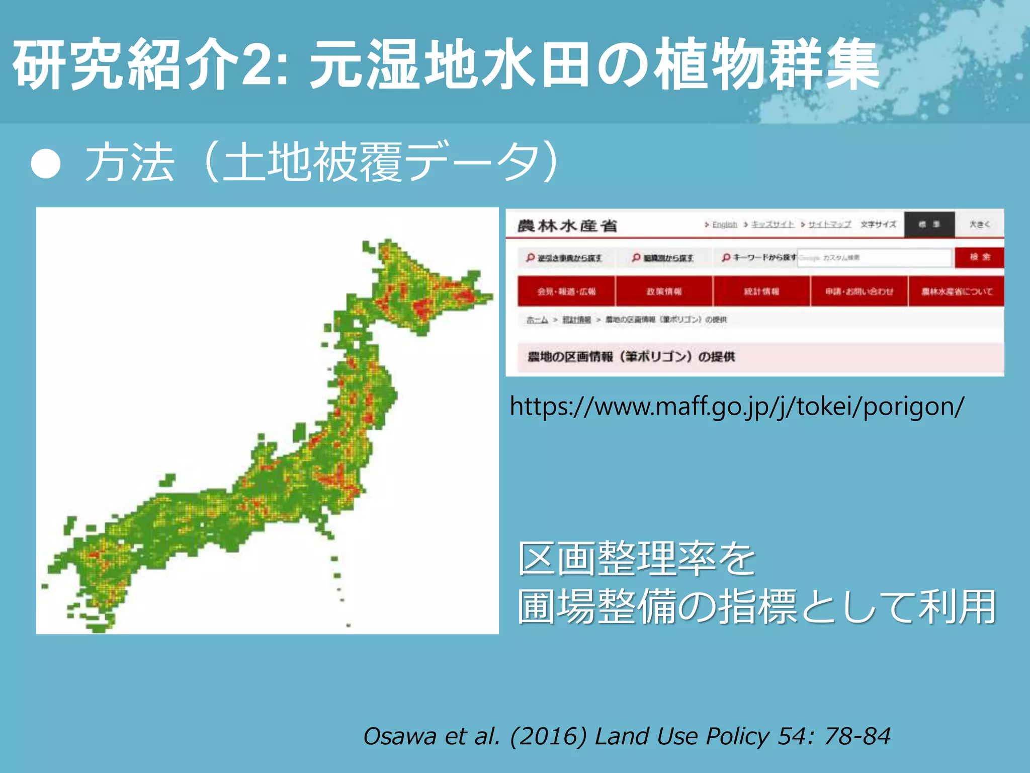 研究紹介2: 元湿地水田の植物群集
● 方法（土地被覆データ）
区画整理率を
圃場整備の指標として利用
Osawa et al. (2016) Land Use Policy 54: 78-84
https://www.maff.go.jp/j/tokei/porigon/
 
