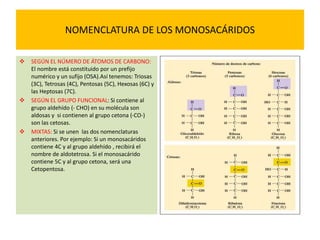 NOMENCLATURA DE LOS MONOSACÁRIDOS
 SEGÚN EL NÚMERO DE ÁTOMOS DE CARBONO:
El nombre está constituido por un prefijo
numérico y un sufijo (OSA).Así tenemos: Triosas
(3C), Tetrosas (4C), Pentosas (5C), Hexosas (6C) y
las Heptosas (7C).
 SEGÚN EL GRUPO FUNCIONAL: Si contiene al
grupo aldehído (- CHO) en su molécula son
aldosas y si contienen al grupo cetona (-CO-)
son las cetosas.
 MIXTAS: Si se unen las dos nomenclaturas
anteriores. Por ejemplo: Si un monosacáridos
contiene 4C y al grupo aldehído , recibirá el
nombre de aldotetrosa. Si el monosacárido
contiene 5C y al grupo cetona, será una
Cetopentosa.
 