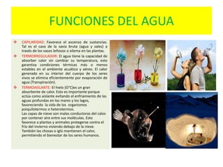 FUNCIONES DEL AGUA
 CAPILARIDAD: Favorece el ascenso de sustancias.
Tal es el caso de la savia bruta (agua y sales) a
través de los vasos leñosos o xilema en las plantas.
 TERMORREGULADOR: El agua tiene la capacidad de
absorber calor sin cambiar su temperatura, esto
garantiza condiciones térmicas más o menos
estables en el ambiente acuático y aéreo. El calor
generado en su interior del cuerpo de los seres
vivos se elimina eficientemente por evaporación de
agua (Transpiración).
 TERMOAISLANTE: El hielo (O°C)es un gran
absorbente de calor. Esto es importante porque
actúa como aislante evitando el enfriamiento de las
aguas profundas en los mares y los lagos,
favoreciendo la vida de los organismos
poiquilotermos o heterotermos.
Las capas de nieve son malas conductoras del calos
por contener aire entre sus moléculas. Esto
favorece a plantas y animales protegerse contra el
frío del invierno viviendo debajo de la nieve.
También las chozas o iglú mantienen el calor,
permitiendo el bienestar de los seres humanos.
 