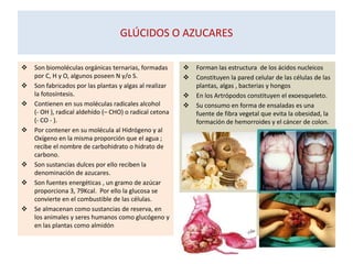 GLÚCIDOS O AZUCARES
 Son biomoléculas orgánicas ternarias, formadas
por C, H y O, algunos poseen N y/o S.
 Son fabricados por las plantas y algas al realizar
la fotosíntesis.
 Contienen en sus moléculas radicales alcohol
(- OH ), radical aldehído (– CHO) o radical cetona
(- CO - ).
 Por contener en su molécula al Hidrógeno y al
Oxígeno en la misma proporción que el agua ;
recibe el nombre de carbohidrato o hidrato de
carbono.
 Son sustancias dulces por ello reciben la
denominación de azucares.
 Son fuentes energéticas , un gramo de azúcar
proporciona 3, 79Kcal. Por ello la glucosa se
convierte en el combustible de las células.
 Se almacenan como sustancias de reserva, en
los animales y seres humanos como glucógeno y
en las plantas como almidón
 Forman las estructura de los ácidos nucleicos
 Constituyen la pared celular de las células de las
plantas, algas , bacterias y hongos
 En los Artrópodos constituyen el exoesqueleto.
 Su consumo en forma de ensaladas es una
fuente de fibra vegetal que evita la obesidad, la
formación de hemorroides y el cáncer de colon.
 