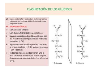 CLASIFICACIÓN DE LOS GLÚCIDOS
 Según su tamaño y estructura molecular son de
tres tipos: los monosacáridos, los disacáridos y
los polisacáridos
 MONOSACÁRIDOS:
 Son azucares simples
 Son dulces, hidrolizables y cristalinos.
 Su cadena carbonada está constituida por
3 a 7 carbonos acompañados de radicales
hidroxilos (- OH).
 Algunos monosacáridos pueden contener
al grupo aldehído (- CHO) aldosas o cetona
(-CO -) cetosas.
 Todos los monosacáridos tienen uno o
más carbonos asimétricos, lo que origina
dos conformaciones posibles: los isómeros
D y L.
 
