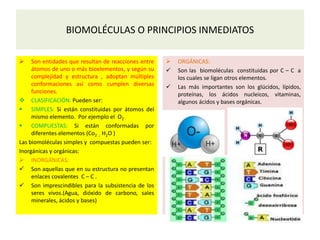 BIOMOLÉCULAS O PRINCIPIOS INMEDIATOS
 Son entidades que resultan de reacciones entre
átomos de uno o más bioelementos, y según su
complejidad y estructura , adoptan múltiples
conformaciones así como cumplen diversas
funciones.
 CLASIFICACIÓN: Pueden ser:
 SIMPLES: Si están constituidas por átomos del
mismo elemento. Por ejemplo el O2
 COMPUESTAS: Si están conformadas por
diferentes elementos (Co2 ; H2O )
Las biomoléculas simples y compuestas pueden ser:
Inorgánicas y orgánicas:
 INORGÁNICAS:
 Son aquellas que en su estructura no presentan
enlaces covalentes C – C .
 Son imprescindibles para la subsistencia de los
seres vivos.(Agua, dióxido de carbono, sales
minerales, ácidos y bases)
 ORGÁNICAS:
 Son las biomoléculas constituidas por C – C a
los cuales se ligan otros elementos.
 Las más importantes son los glúcidos, lípidos,
proteínas, los ácidos nucleicos, vitaminas,
algunos ácidos y bases orgánicas.
 