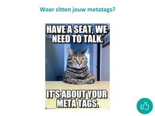 Waar zitten jouw metatags?
 