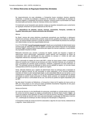 20201123_Minuta do Prospecto Preliminar_cortel.pdf