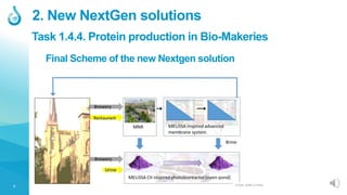 7
2. New NextGen solutions
Final Scheme of the new Nextgen solution
© 2020, SEMiLLA IPStar
Task 1.4.4. Protein production in Bio-Makeries
 