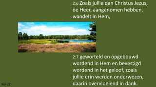 Kol-22
2:6 Zoals jullie dan Christus Jezus,
de Heer, aangenomen hebben,
wandelt in Hem,
2:7 geworteld en opgebouwd
wordend...
