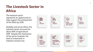 African Development Bank Livestock Investment Masterplan (LIVEMAP)