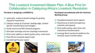 Overview of African Development Bank Livestock Investment Masterplan 