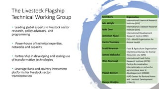Overview of African Development Bank Livestock Investment Masterplan 