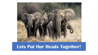 Overview of African Development Bank Livestock Investment Masterplan 