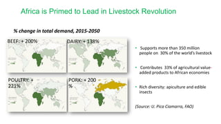 Overview of African Development Bank Livestock Investment Masterplan 