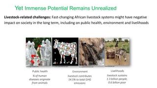 Overview of African Development Bank Livestock Investment Masterplan 