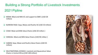 Overview of African Development Bank Livestock Investment Masterplan 