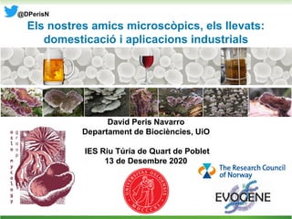 Els nostres amics microscòpics, els llevats:
domesticació i aplicacions industrials
David Peris Navarro
Departament de Biociències, UiO
IES Riu Túria de Quart de Poblet
13 de Desembre 2020
@DPerisN
 