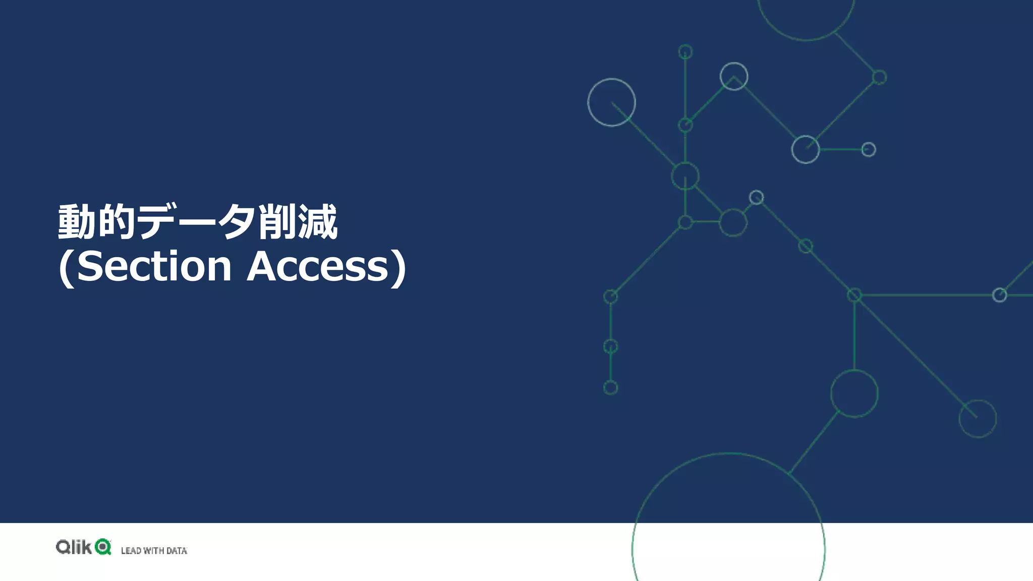 動的データ削減
(Section Access)
 