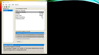 FMRI_DATA_ANALYSIS_REPORT_AND_PREPROCESSING_STEPS .pptx