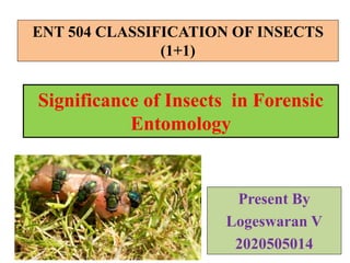 Significance of Insects in Forensic
Entomology
Present By
Logeswaran V
2020505014
ENT 504 CLASSIFICATION OF INSECTS
(1+1)
 