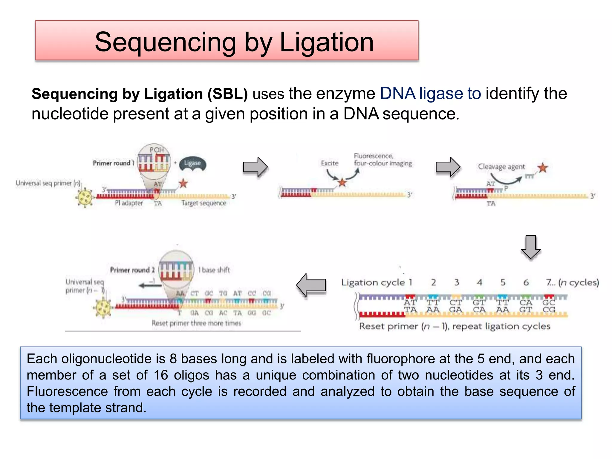 Sequencing by Ligation
Sequencing by Ligation (SBL) uses the enzyme DNA ligase to identify the
nucleotide present at a given position in a DNA sequence.
Each oligonucleotide is 8 bases long and is labeled with fluorophore at the 5 end, and each
member of a set of 16 oligos has a unique combination of two nucleotides at its 3 end.
Fluorescence from each cycle is recorded and analyzed to obtain the base sequence of
the template strand.
 