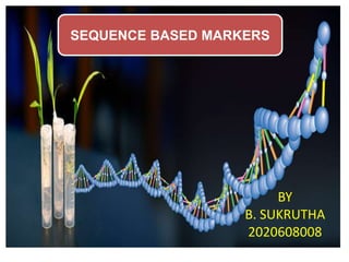 SEQUENCE BASED MARKERS
BY
B. SUKRUTHA
2020608008
 